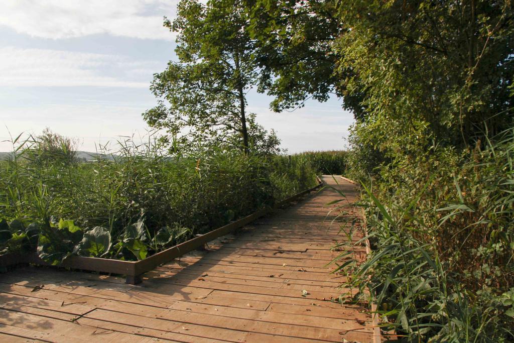 Terre D'O Villa Pecq Bagian luar foto